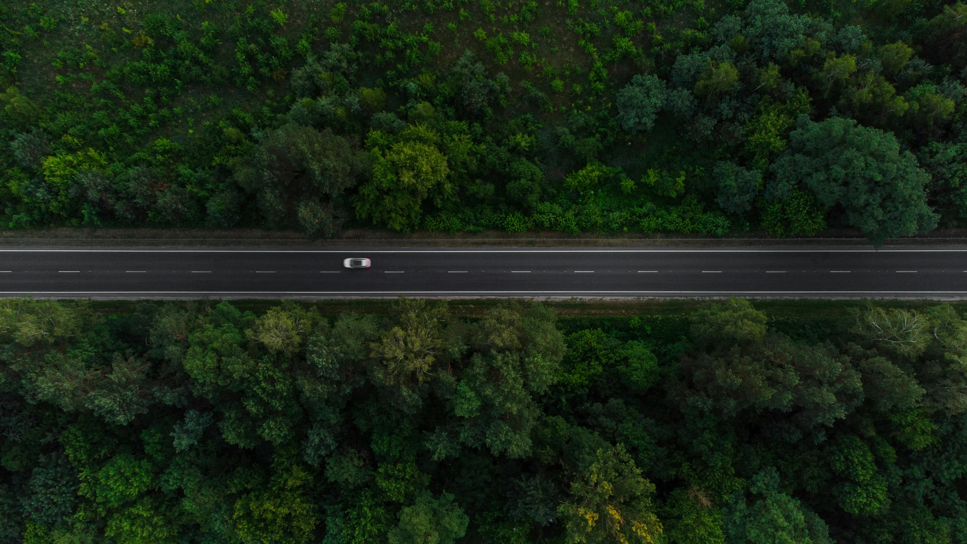 Low-CO2 Route AI Recommendations in 2026: Algorithms